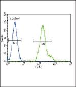 C/EBP alpha Antibody in Flow Cytometry (Flow)