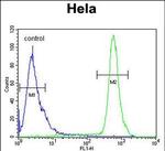 HS3ST2 Antibody in Flow Cytometry (Flow)