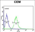 alpha Amylase 1 Antibody in Flow Cytometry (Flow)