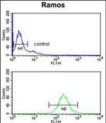 NUCKS1 Antibody in Flow Cytometry (Flow)