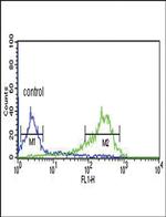 HAPLN1 Antibody in Flow Cytometry (Flow)