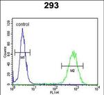 PCDH17 Antibody in Flow Cytometry (Flow)