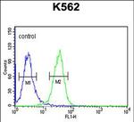 PGP Antibody in Flow Cytometry (Flow)