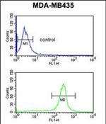 GSTK1 Antibody in Flow Cytometry (Flow)