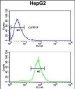 CDH20 Antibody in Flow Cytometry (Flow)