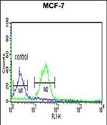 TAF2 Antibody in Flow Cytometry (Flow)