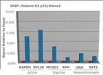 H3K4me2T3ph Antibody in ChIP Assay (ChIP)