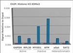 H3K9me2 Antibody in ChIP Assay (ChIP)