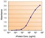 ALDH2 Antibody in ELISA (ELISA)