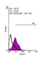 KLF4 Antibody in Flow Cytometry (Flow)