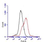TGFBR1 Antibody in Flow Cytometry (Flow)