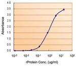 Monoamine Oxidase B Antibody in ELISA (ELISA)