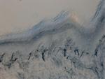 Tyrosine Hydroxylase Antibody in Immunohistochemistry (Frozen) (IHC (F))