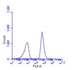 LC3B Antibody in Flow Cytometry (Flow)