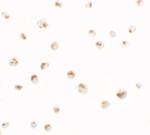 SDHD Polyclonal Antibody