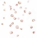 PHLPP2 Polyclonal Antibody