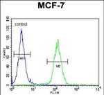 USF1 Antibody in Flow Cytometry (Flow)