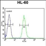 DPP3 Antibody in Flow Cytometry (Flow)