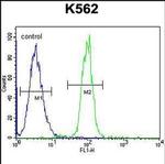 TCF21 Antibody in Flow Cytometry (Flow)