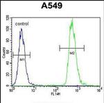 WDR52 Antibody in Flow Cytometry (Flow)