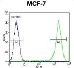 PCDH20 Antibody in Flow Cytometry (Flow)