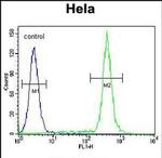 TBX6 Antibody in Flow Cytometry (Flow)