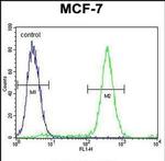 QTRTD1 Antibody in Flow Cytometry (Flow)