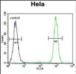SSH3 Antibody in Flow Cytometry (Flow)
