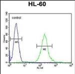 SOS2 Antibody in Flow Cytometry (Flow)