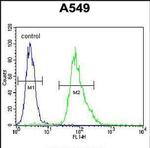 MYBPHL Antibody in Flow Cytometry (Flow)