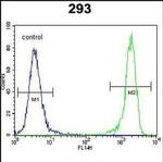 CHOP Antibody in Flow Cytometry (Flow)
