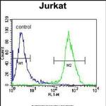 Ku80 Antibody in Flow Cytometry (Flow)
