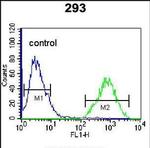 TFAP4 Antibody in Flow Cytometry (Flow)