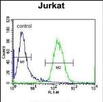 RBPJL Antibody in Flow Cytometry (Flow)