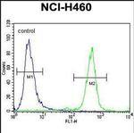 PURB Antibody in Flow Cytometry (Flow)