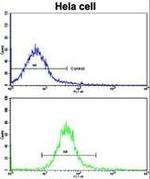 NANOS1 Antibody in Flow Cytometry (Flow)