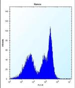 Zap-70 Antibody in Flow Cytometry (Flow)