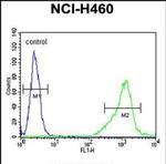 ALDH1A1 Antibody in Flow Cytometry (Flow)