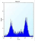 TGIF2 Antibody in Flow Cytometry (Flow)