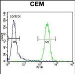 POLG Antibody in Flow Cytometry (Flow)
