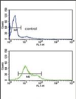 MDH1 Antibody in Flow Cytometry (Flow)