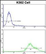PAX3 Antibody in Flow Cytometry (Flow)