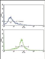 Glucagon Antibody in Flow Cytometry (Flow)