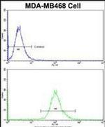 Aspartoacylase Antibody in Flow Cytometry (Flow)