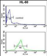 CBF beta Antibody in Flow Cytometry (Flow)