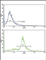MCCC2 Antibody in Flow Cytometry (Flow)