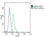 CD62L Antibody in Flow Cytometry (Flow)