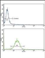 ARGBP2 Antibody in Flow Cytometry (Flow)