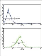 Apolipoprotein L1 Antibody in Flow Cytometry (Flow)