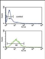 TPT1 Antibody in Flow Cytometry (Flow)